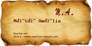 Máté Amália névjegykártya